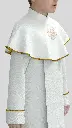 paw2LL.webp